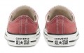 Converse Chuck Taylor All Star Seasonal Color Low Top