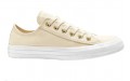 Converse Chuck Taylor All Star Summer Palms Low Top