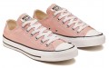 Converse Chuck Taylor All Star Seasonal Color Low Top