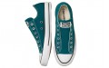 Converse Chuck Taylor All Star Slip