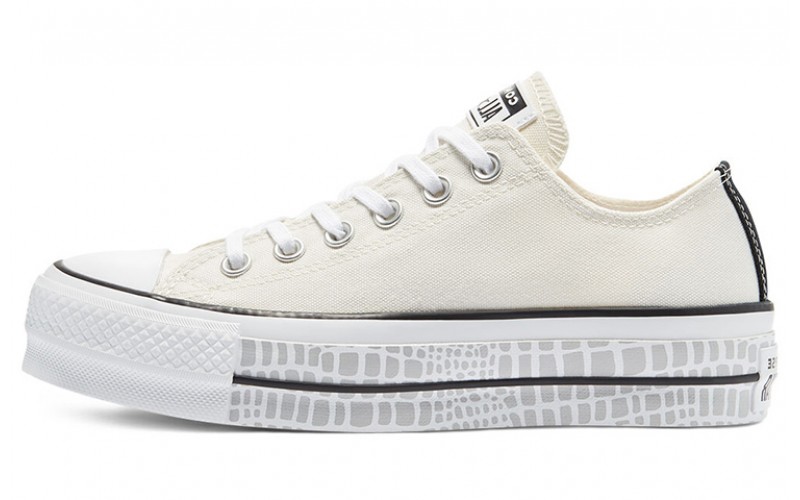 Converse Chuck Taylor All Star Low Top