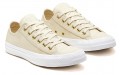 Converse Chuck Taylor All Star Summer Palms Low Top