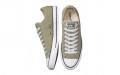 Converse Chuck Taylor All Star Low Top