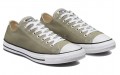 Converse Chuck Taylor All Star Low Top