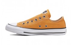 Converse Chuck Taylor All Star Seasonal