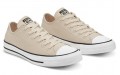 Converse Chuck Taylor All Star Renew Canvas