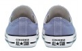 Converse Chuck Taylor All Star Seasonal Color Low Top