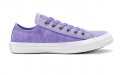 Converse Chuck Taylor All Star Summer Palms Low Top