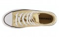 Converse Chuck Taylor All Star Precious Metals