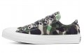 Converse Chuck Taylor All Star Low Top