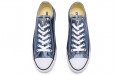 Converse Chuck Taylor All Star Metallic