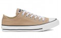 Converse Chuck Taylor All Star Seasonal Color Low Top