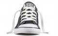 Converse Chuck Taylor All Star Dainty