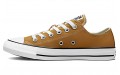 Converse Chuck Taylor All Star Seasonal Color