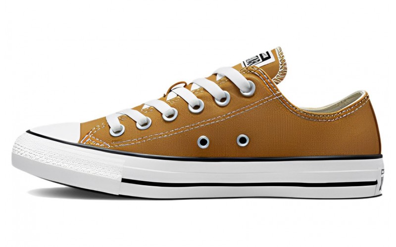 Converse Chuck Taylor All Star Seasonal Color