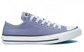 Converse Chuck Taylor All Star Seasonal Color Low Top