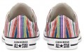 Converse Chuck Taylor All Star Low Top