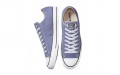 Converse Chuck Taylor All Star Low Top