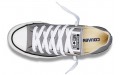 Converse Chuck Taylor All Star Seasonal Color Low Top