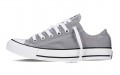 Converse Chuck Taylor All Star Seasonal Color Low Top