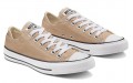 Converse Chuck Taylor All Star Seasonal Color Low Top