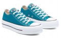 Converse Chuck Taylor All Star Low Top