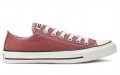 Converse Chuck Taylor All Star Seasonal Color Low Top