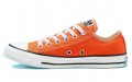 Converse Chuck Taylor All Star Seasonal Color Low Top