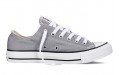 Converse Chuck Taylor All Star Seasonal Color Low Top