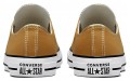 Converse Chuck Taylor All Star Seasonal Color