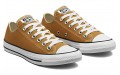 Converse Chuck Taylor All Star Seasonal Color