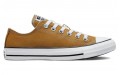 Converse Chuck Taylor All Star Seasonal Color