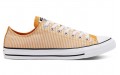 Converse Chuck Taylor All Star Low Top