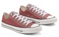 Converse Chuck Taylor All Star Seasonal Color Low Top