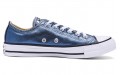 Converse Chuck Taylor All Star Metallic