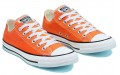 Converse Chuck Taylor All Star Seasonal Color Low Top