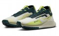 Nike Pegasus Trail 4 Gore-Tex