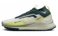 Nike Pegasus Trail 4 Gore-Tex