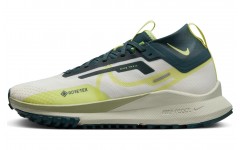 Nike Pegasus Trail 4 Gore-Tex