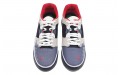 Nike SB Ishod Chicago