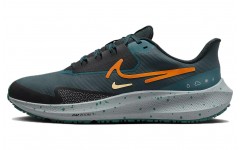 Nike Pegasus 39