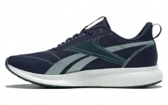 Reebok Floatride Energy Century Grow