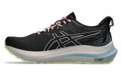 Asics GT-2000 12