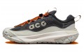 Nike ACG Mountain Fly 2 Low Gore-Tex