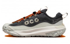 Nike ACG Mountain Fly 2 Low Gore-Tex