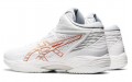 Asics Gel-Hoop V14