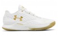 Under Armour Curry 1 Low Championship