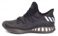 adidas Crazy Explosive Low