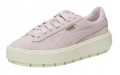 PUMA Platform Trace