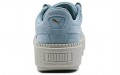 PUMA Platform Trace